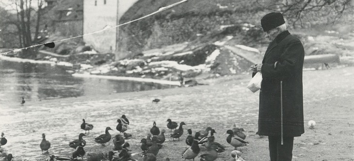 svartvit foto på man som matar änder