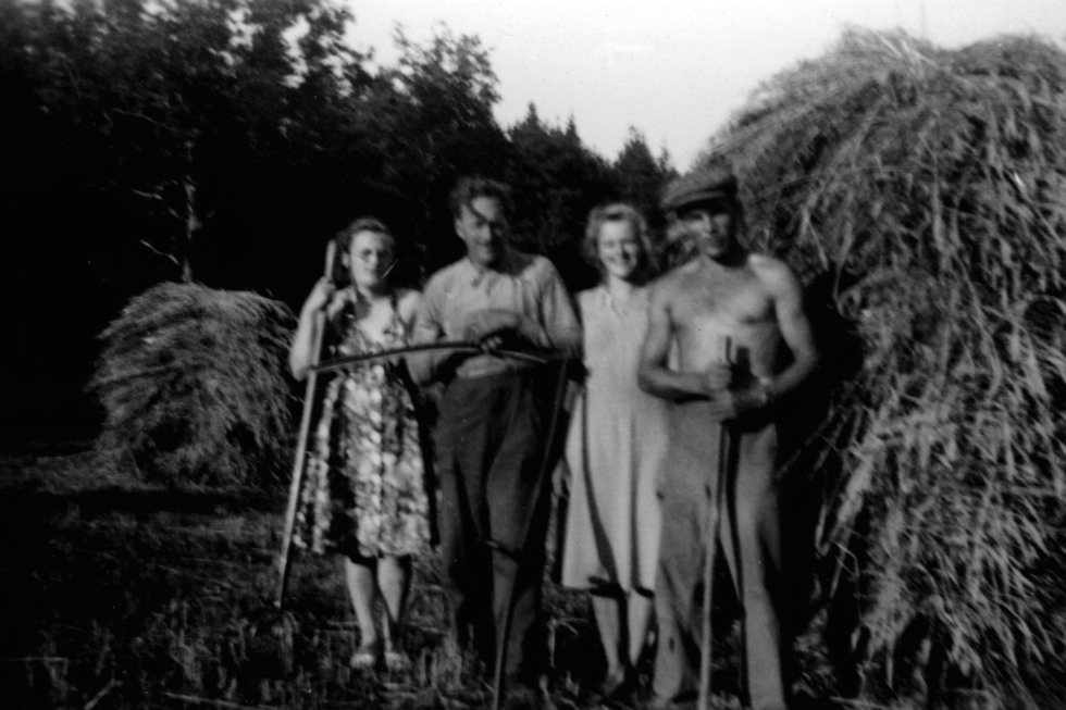 Wadek Sloma, till höger, hjälper till med höbärgningen.