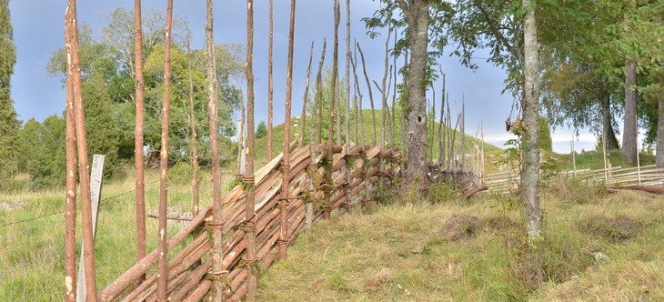 Gärdsgård