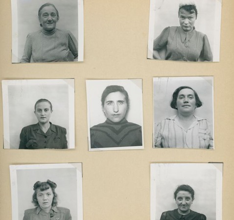 Porträtt, kvinnor som överlevt förintelsen