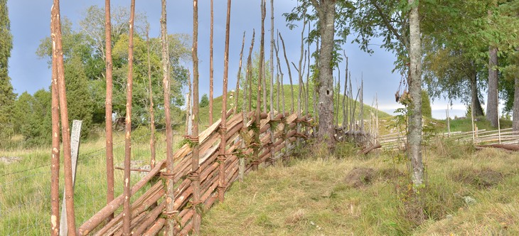 Gärdsgård