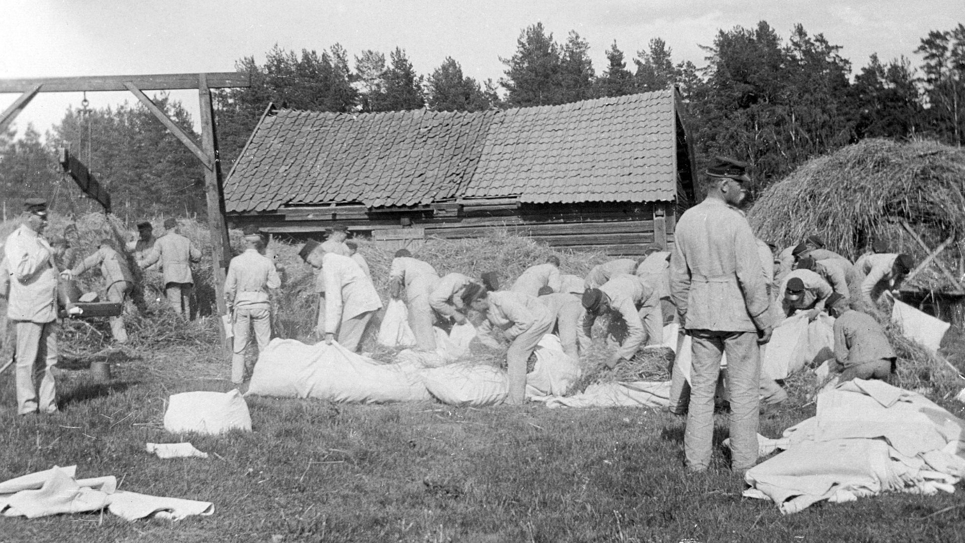 En grupp soldater stoppar sina madrasser med halm.