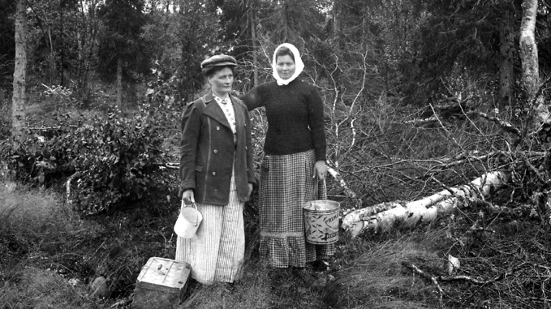 Två kvinnor ute i skogen på bärplockning