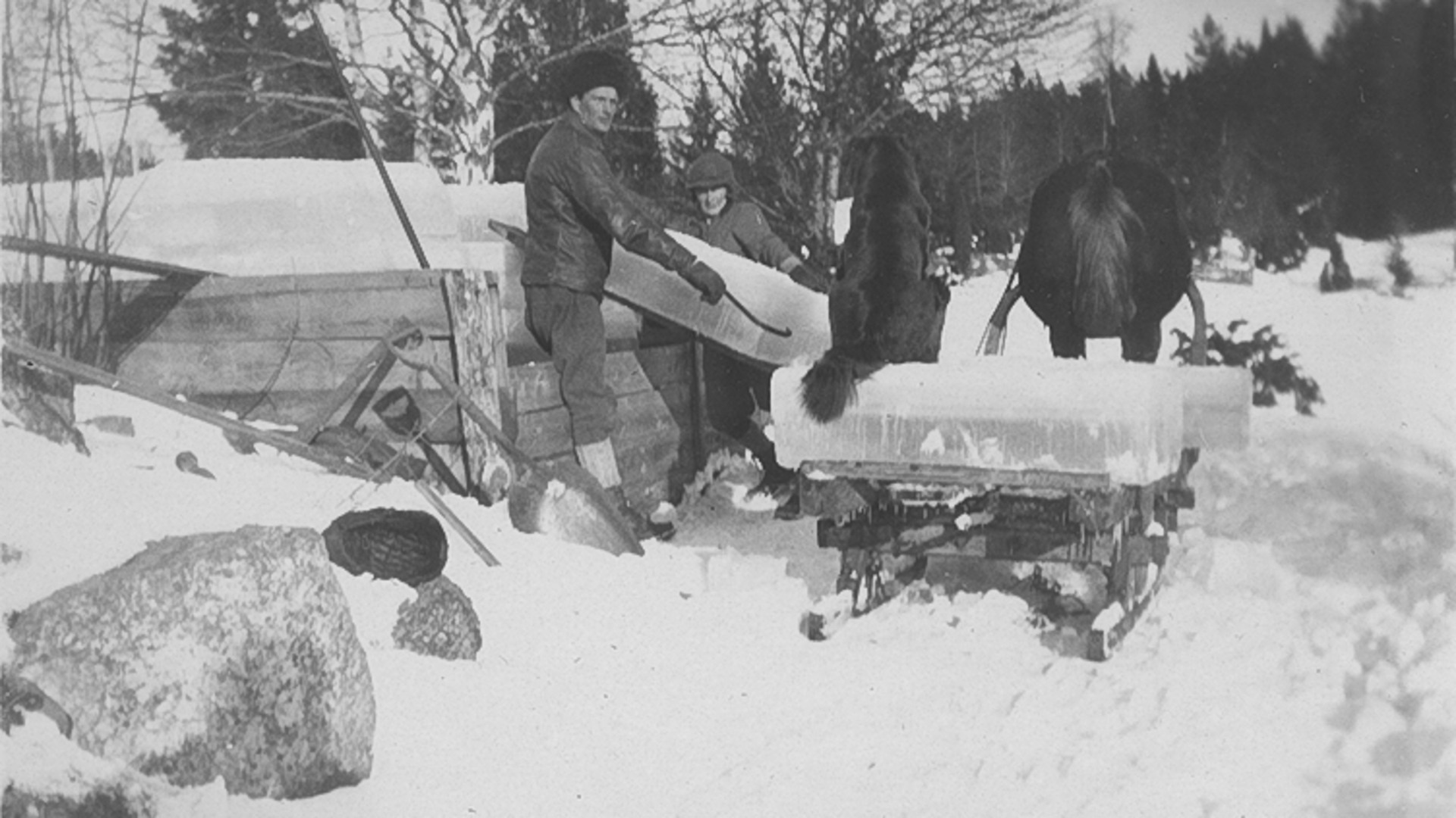 Två människor hämtar is som lastas på en hästvagn.
