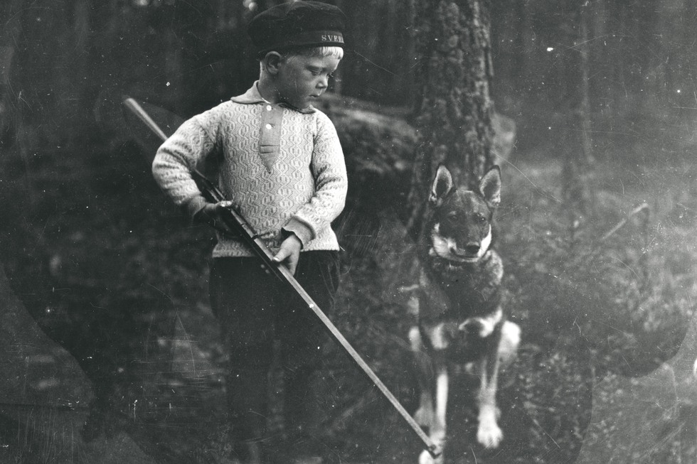 En liten pojke med en hund.