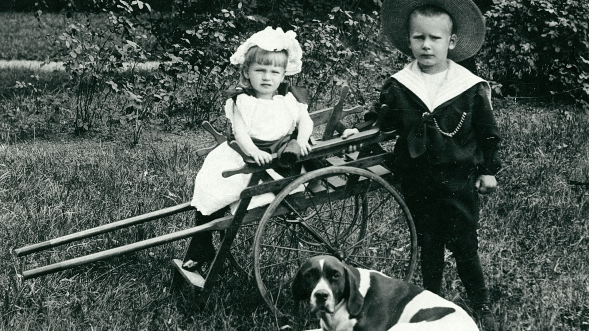 Två barn och en hund. Flicka på vagn, pojke jämte. Hund på gräset.