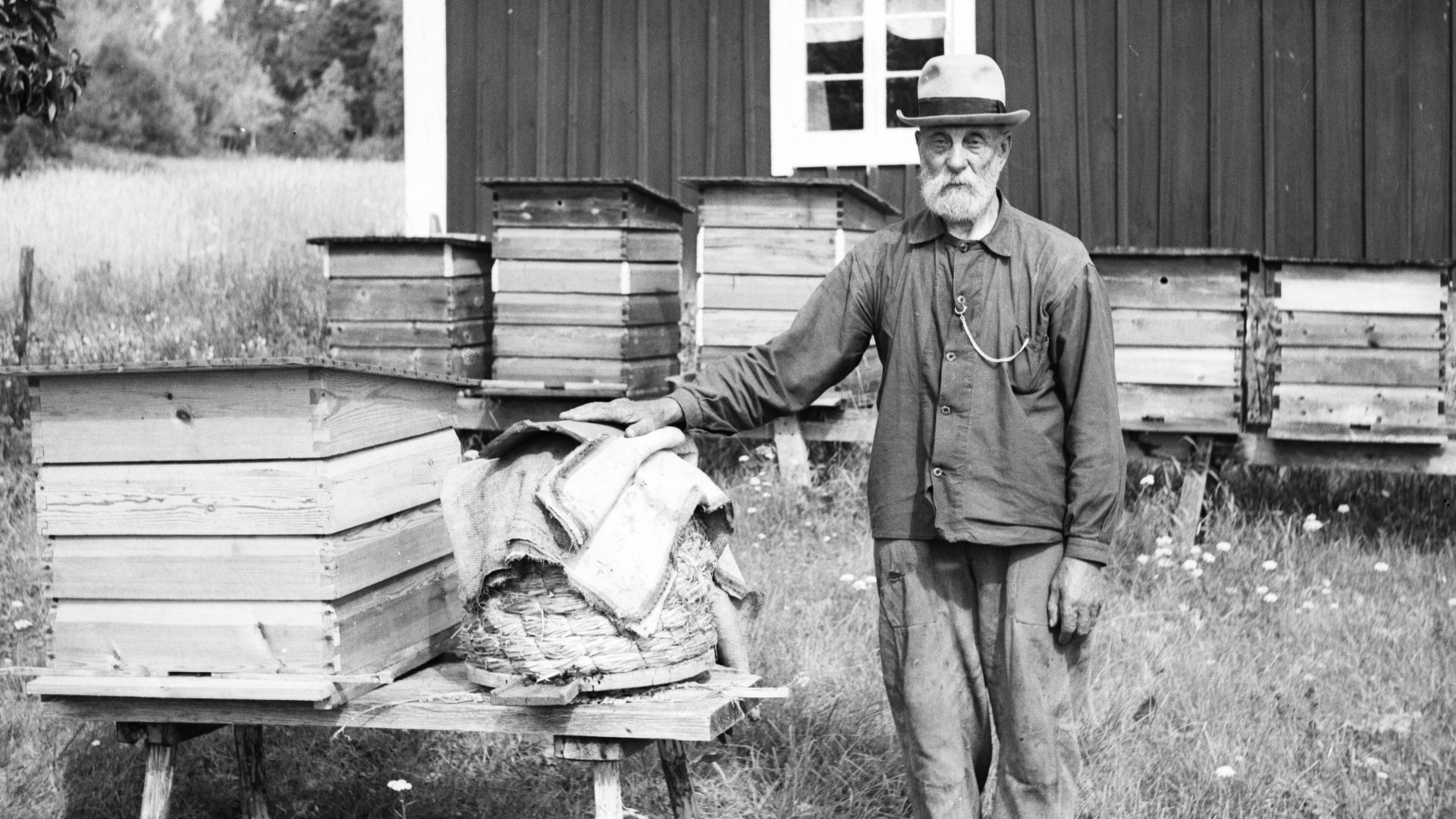 En äldre man står vid en bikupa av halm, och sex fyrkantiga bikupor av trä.